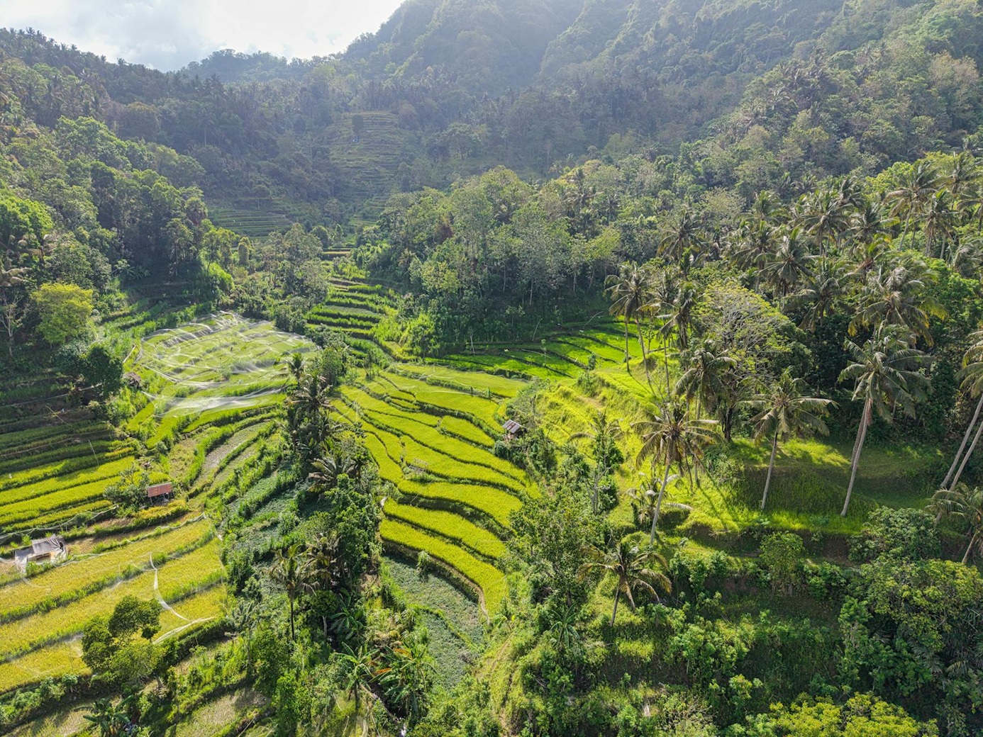 s'expatrier à Bali