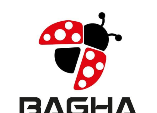 bagha shoes