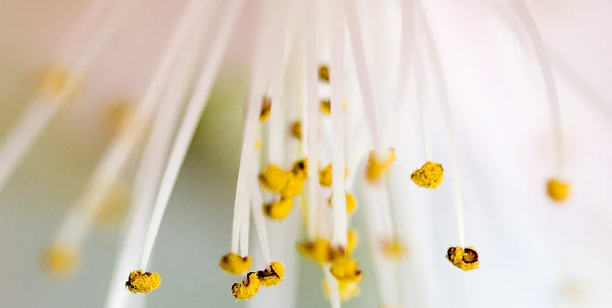 Comment améliorer votre confiance ?