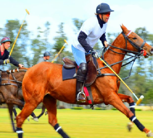 deux joueurs de polo