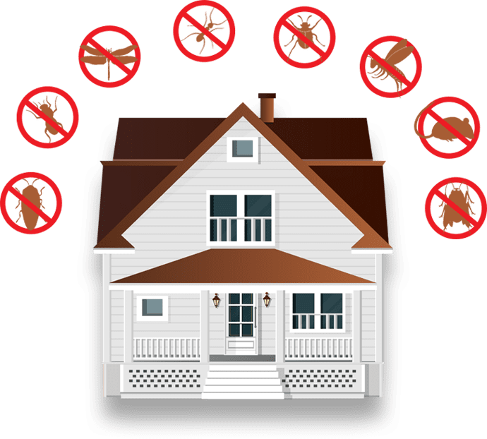 se débarrasser définitivement des nuisibles 