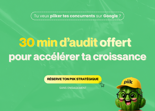 SEO PIIK - Consultant SEO freelance à Lyon 