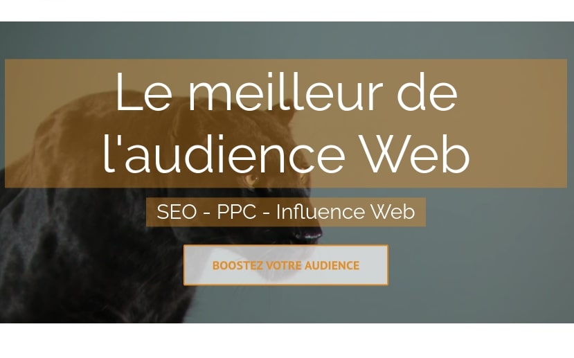 seo montreal