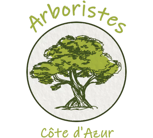 Différents types de taille sur les arbres