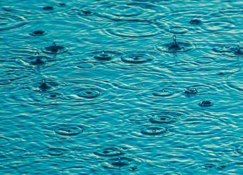 Récupération de l'eau de pluie et utilisation