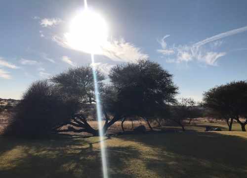 Energie, Magnétisme, Chamanisme, Reiki, Chakra