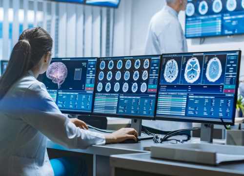 Des chercheurs observent un cerveau en transe