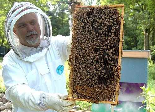 Apiculteur en formation