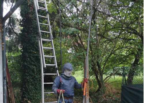 Entreprise frelons guepes Montauban, Albi, Toulouse, Rodez, Cahors, Auch, etc...