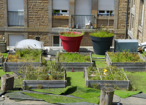Fruits et légumes en ville, on s'y met !