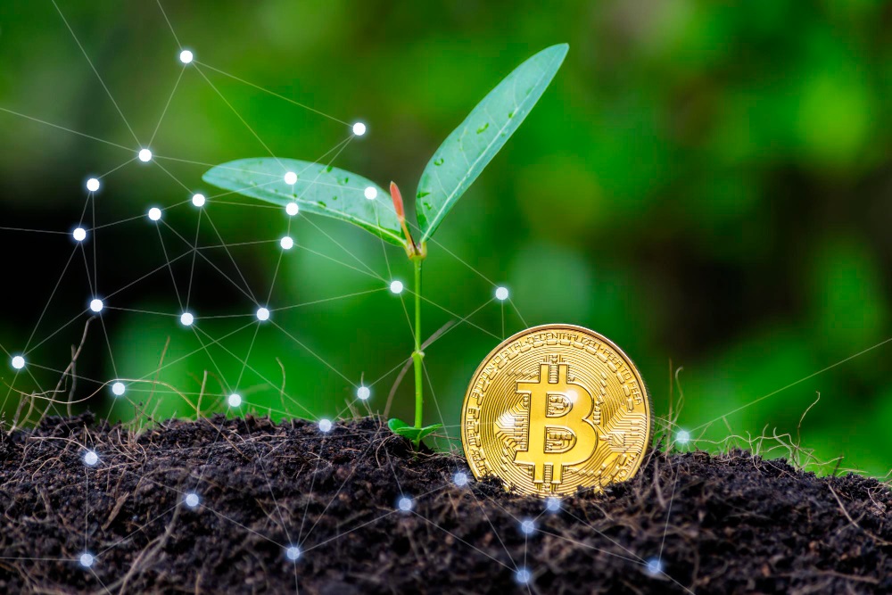 impact environnemental du Bitcoin et des solutions de minage durable