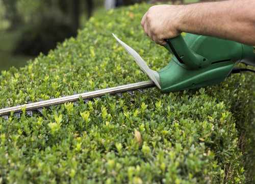 Jardinier élagueur bucheron Toulouse