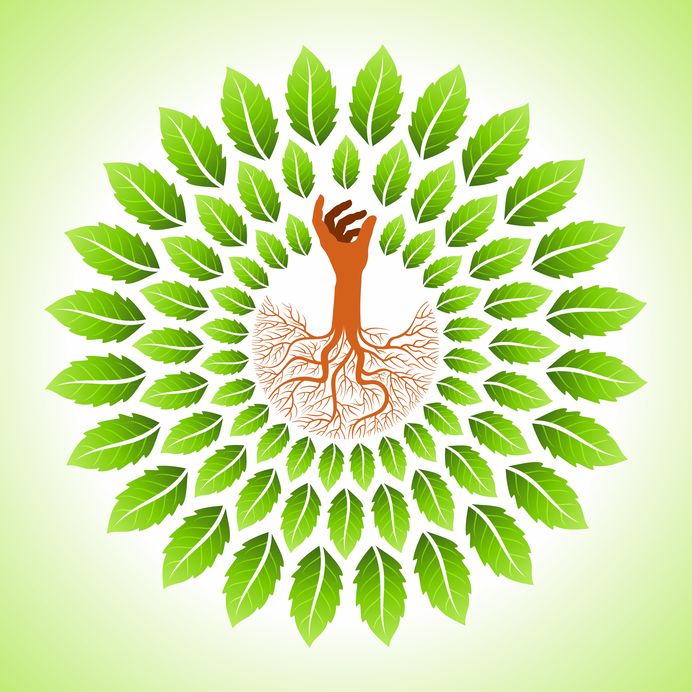 la solution Crystal'GEC