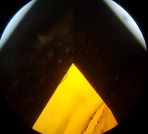 Vue de la pointe d'un zircon poire brun au microscope binoculaire à un grossissement de x40