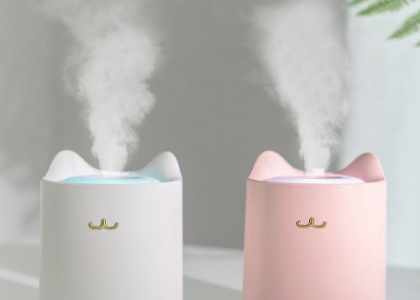 Humidificateur Portable CATTY - Humidificateur Air Pro