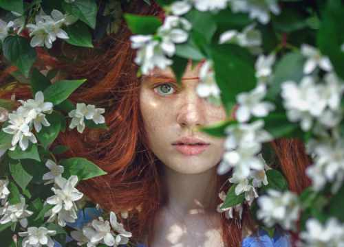 laissez-vous envahir par la nature avec Terre de Labels