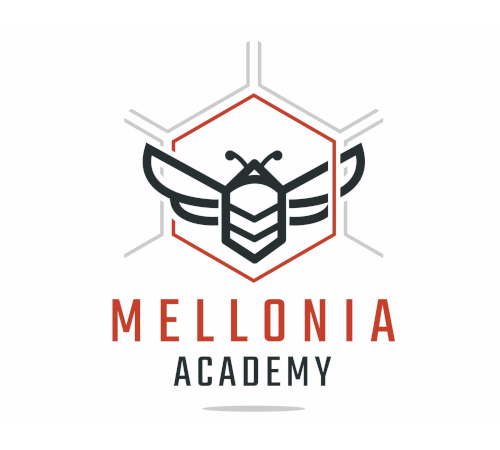 Mellonia Academy - Ecole digitale formation immobilier