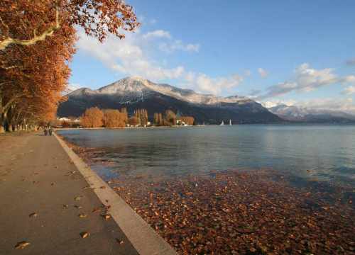 Mobilité professionnelle - Agence de relocation à Annecy