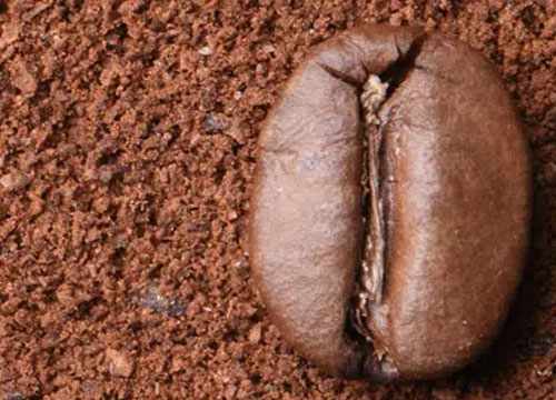 Comment choisir le meilleur moulin à café ?