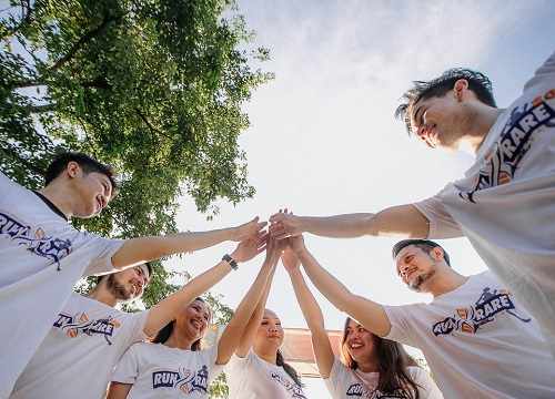 Organisation team building