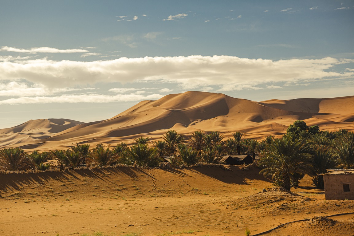 Le Safari desert Dubai
