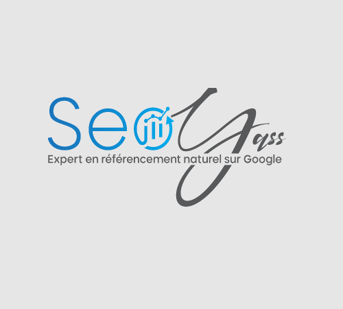 Consultant SEO Lille