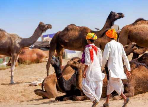 Tour Opérateur en Inde, Spécialiste voyage en Inde et Népal