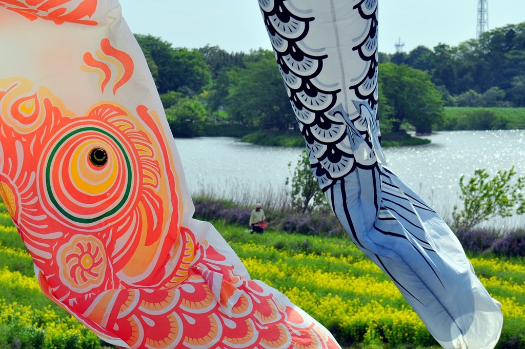 impact visuel des arches