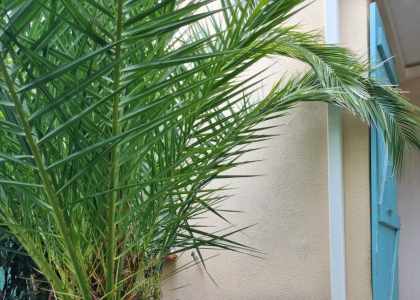 Bien entretenir sa climatisation, pour plus de confort