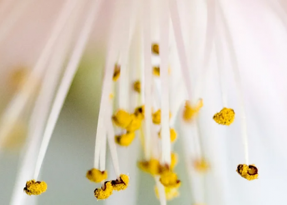 Comment améliorer votre confiance ?