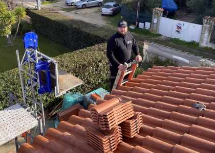 fourmis charpentières