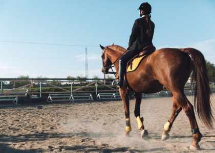 equipement equitation