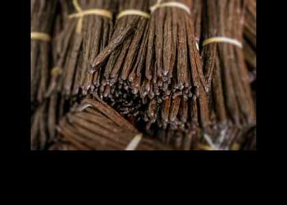 Gousse de vanille de Tahiti