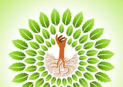 la solution Crystal'GEC