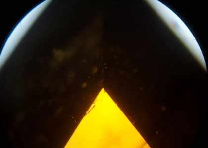 Vue de la pointe d'un zircon poire brun au microscope binoculaire à un grossissement de x40