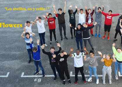 Bee'n Flower mini-entreprise d'Illkirch