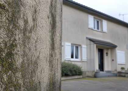 Le mur qu'on cesse de voir, et que tout le monde regarde