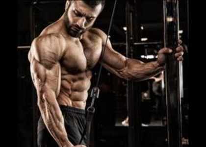 croissance musculaire musculation