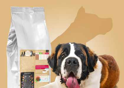 Taux de protéines dans les croquettes pour chien