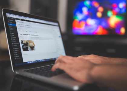 consultant SEO en Occitanie