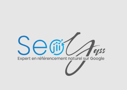 Consultant SEO Lille