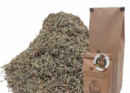 Le thym, des vertus indémodables