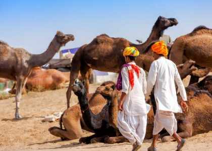Tour Opérateur en Inde, Spécialiste voyage en Inde et Népal