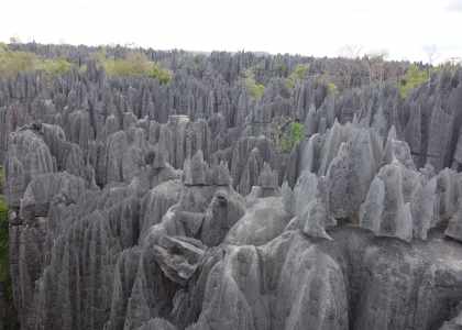 Tsingy de Bemaraha une destination par excellence à Madagascar
