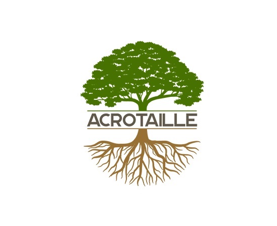 Acrotaille