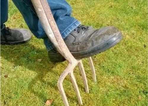 Aération du gazon avec une fourche