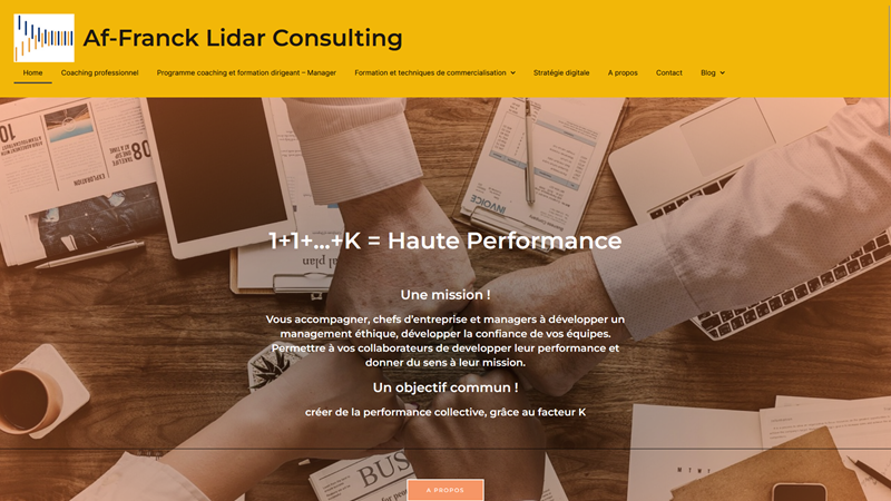 Af Franck Lidar Consulting - Coaching dirigeant et équipe