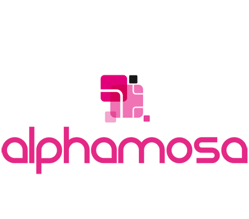 Agence digitale Alphamosa Reims