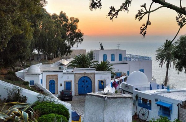 Agence immobilière à la Marsa Tunis