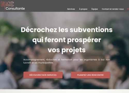 Consultant Demande de Subvention